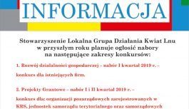 Informacja Kwiat Lnu Informacja Kwiat Lnu